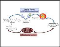 Patente Composicion Trastornos Lisosomales